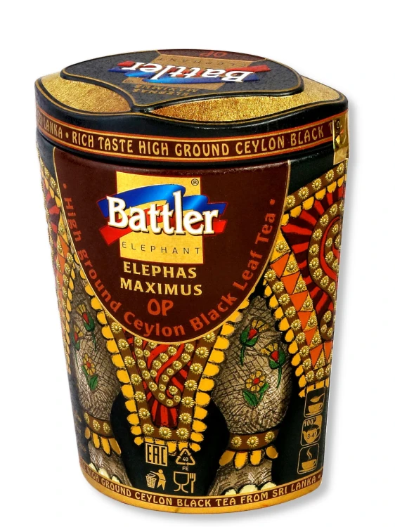 Elephas Maximus OP Puszka_3.jpg