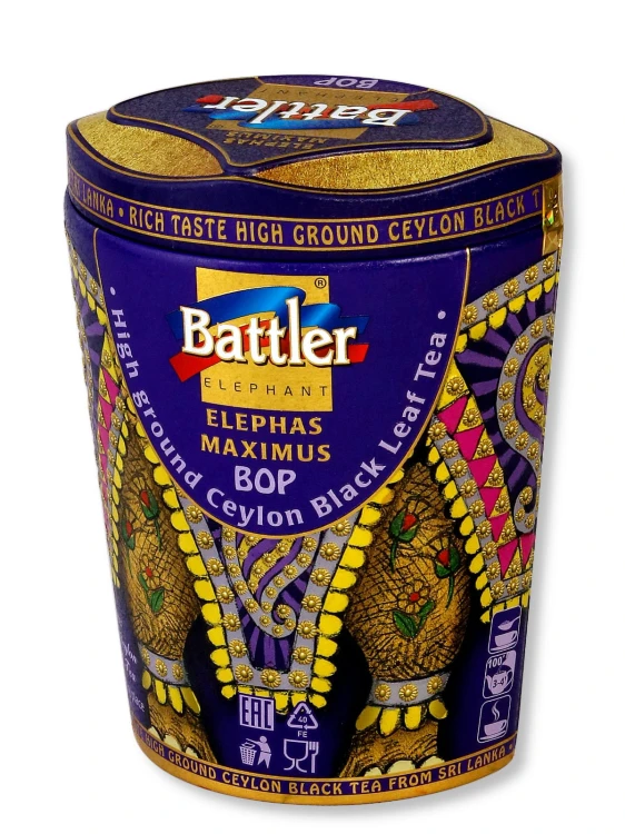 Elephas Maximus BOP Puszka_3.jpg