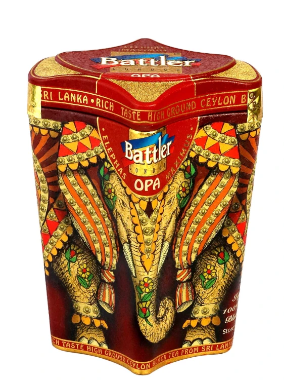 Elephas Maximus OPA Puszka.jpg